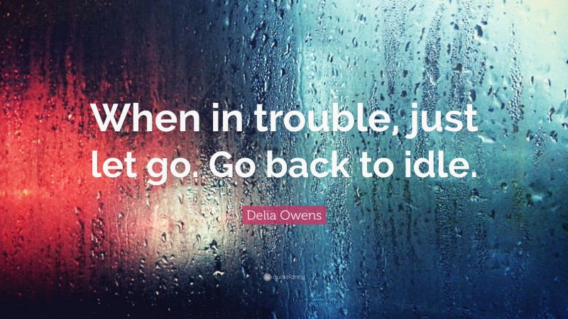 Delia Owens Quote: “When in trouble, just let go. Go back to idle.”