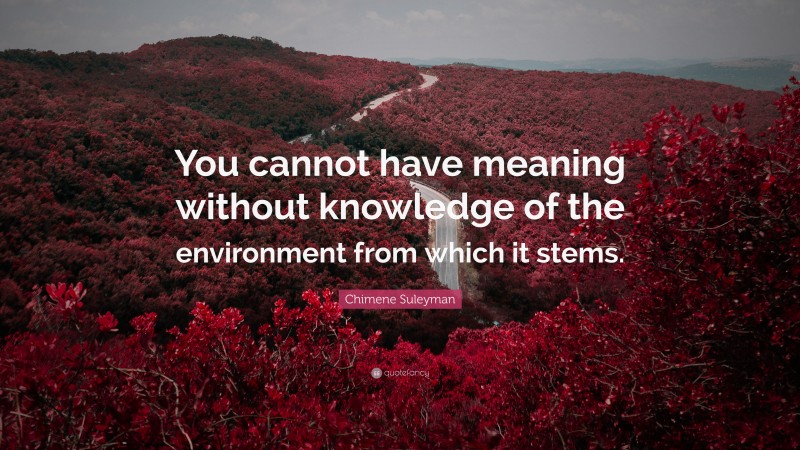 Chimene Suleyman Quote: “You cannot have meaning without knowledge of the environment from which it stems.”