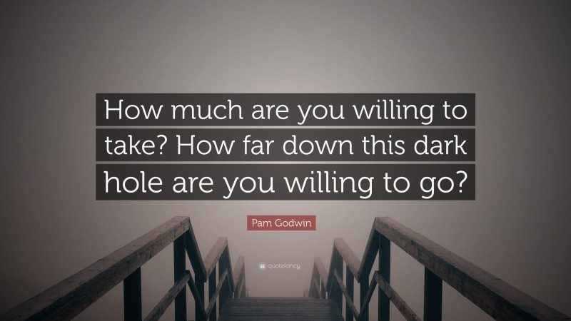 Pam Godwin Quote: “How much are you willing to take? How far down this dark hole are you willing to go?”