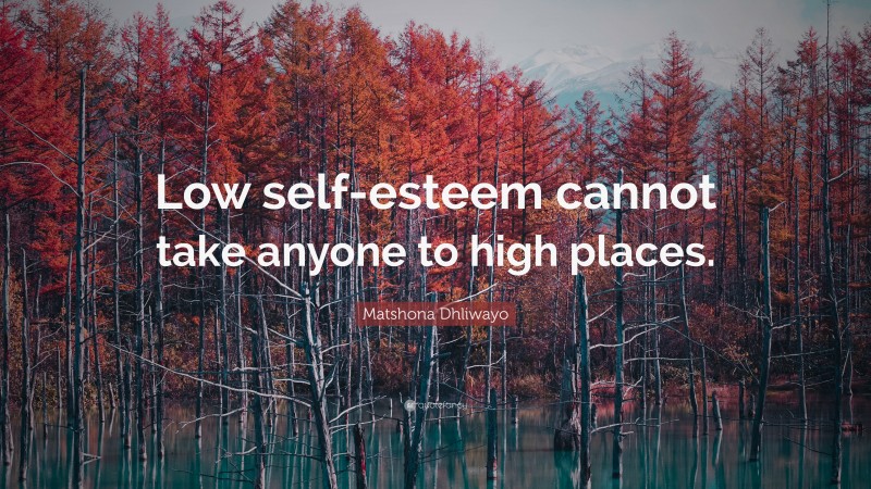 Matshona Dhliwayo Quote: “Low self-esteem cannot take anyone to high places.”
