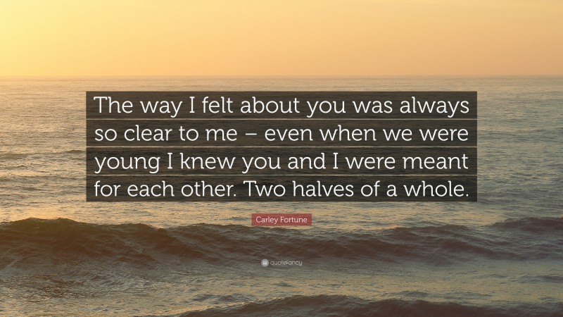 Carley Fortune Quote: “The way I felt about you was always so clear to me – even when we were young I knew you and I were meant for each other. Two halves of a whole.”