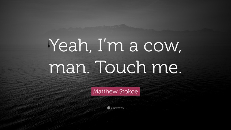 Matthew Stokoe Quote: “Yeah, I’m a cow, man. Touch me.”