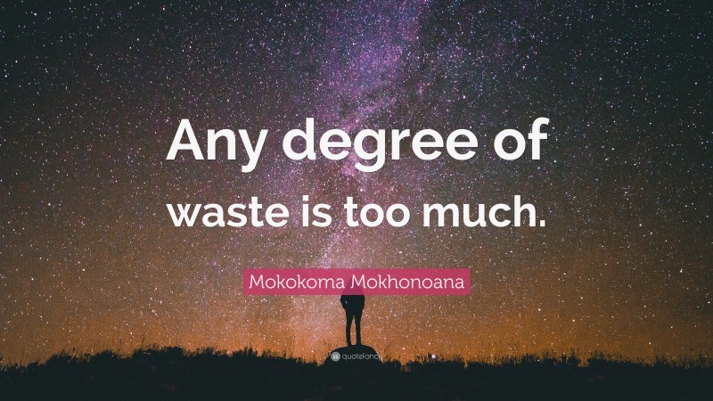 Mokokoma Mokhonoana Quote: “Any degree of waste is too much.”