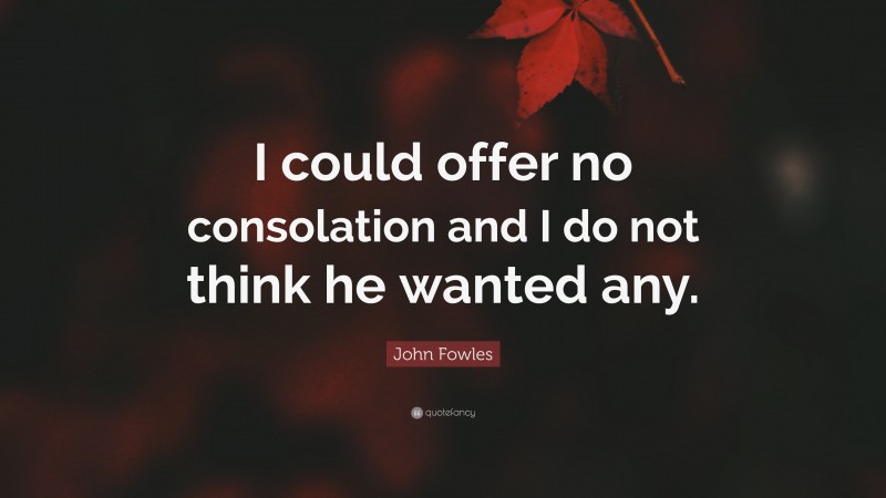 John Fowles Quote: “I could offer no consolation and I do not think he wanted any.”