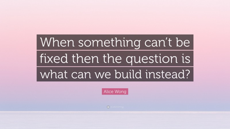 Alice Wong Quote: “When something can’t be fixed then the question is what can we build instead?”