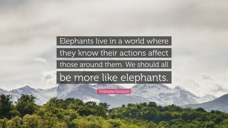 Stephanie Feldstein Quote: “Elephants live in a world where they know their actions affect those around them. We should all be more like elephants.”
