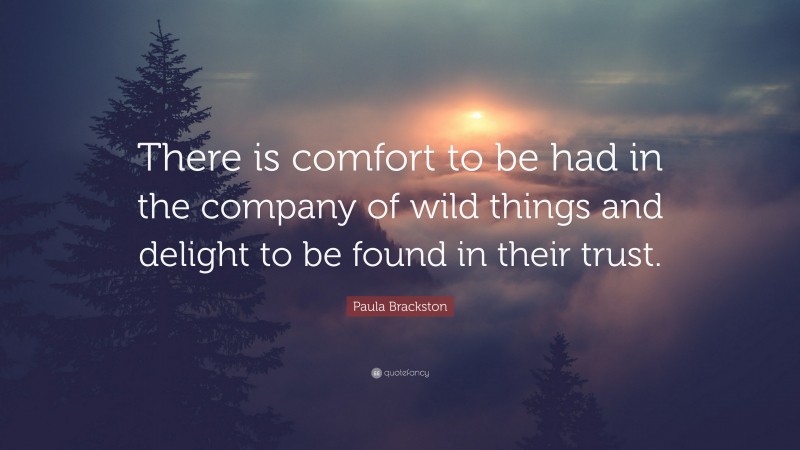 Paula Brackston Quote: “There is comfort to be had in the company of wild things and delight to be found in their trust.”