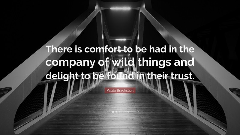 Paula Brackston Quote: “There is comfort to be had in the company of wild things and delight to be found in their trust.”