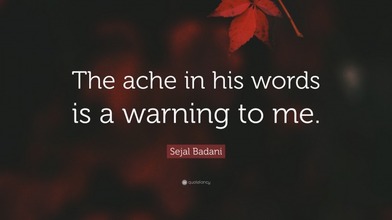 Sejal Badani Quote: “The ache in his words is a warning to me.”