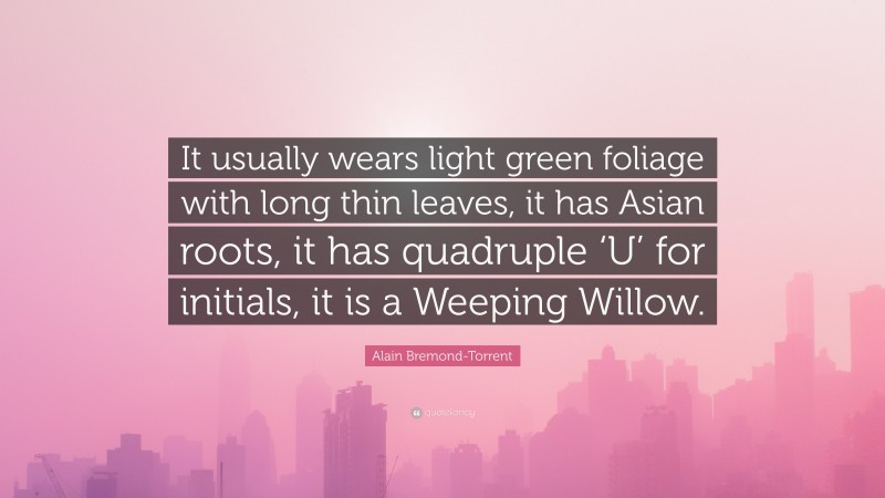Alain Bremond-Torrent Quote: “It usually wears light green foliage with long thin leaves, it has Asian roots, it has quadruple ‘U’ for initials, it is a Weeping Willow.”
