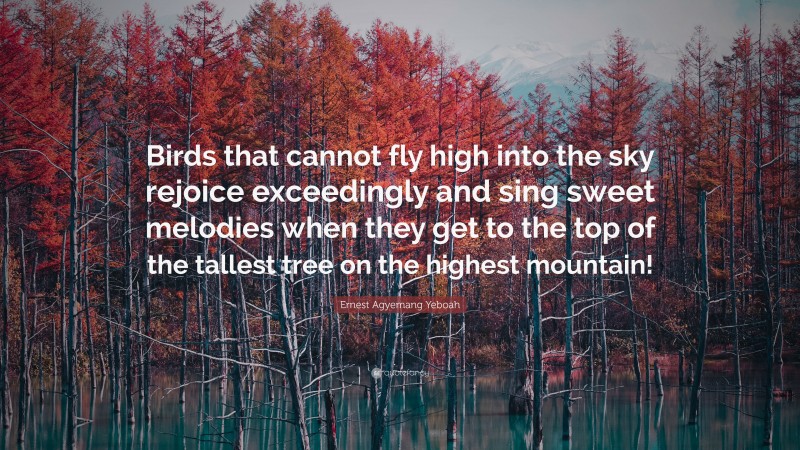 Ernest Agyemang Yeboah Quote: “Birds that cannot fly high into the sky rejoice exceedingly and sing sweet melodies when they get to the top of the tallest tree on the highest mountain!”