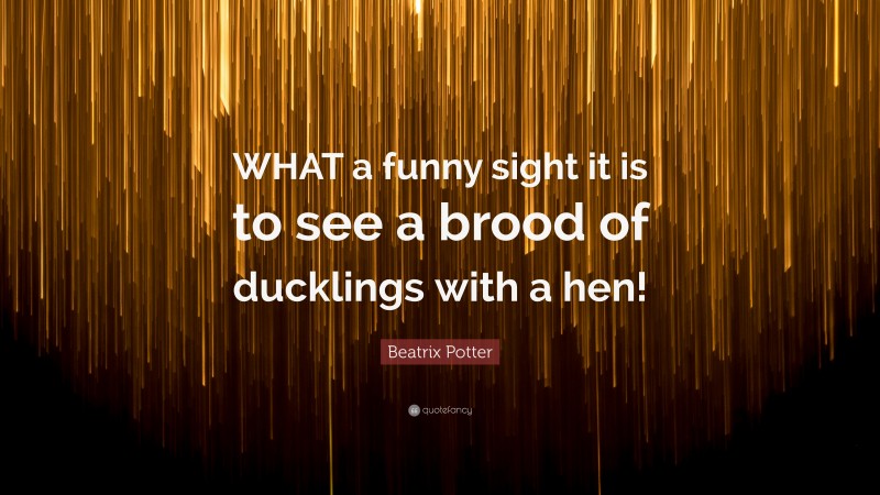 Beatrix Potter Quote: “WHAT a funny sight it is to see a brood of ducklings with a hen!”