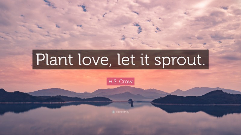 H.S. Crow Quote: “Plant love, let it sprout.”