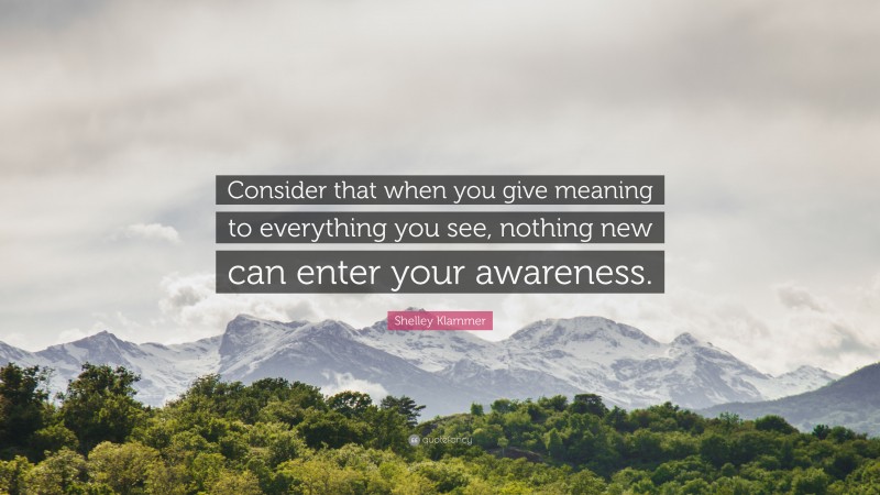 Shelley Klammer Quote: “Consider that when you give meaning to everything you see, nothing new can enter your awareness.”