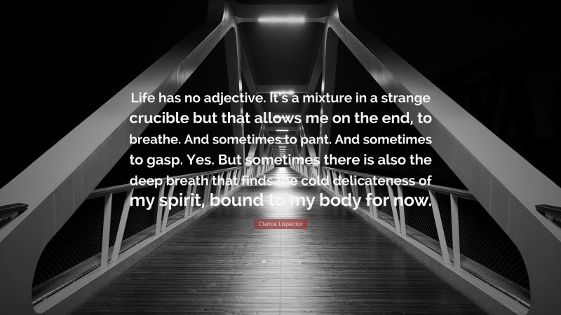 Clarice Lispector Quote: “Life has no adjective. It’s a mixture in a strange crucible but that allows me on the end, to breathe. And sometimes to pant. And sometimes to gasp. Yes. But sometimes there is also the deep breath that finds the cold delicateness of my spirit, bound to my body for now.”