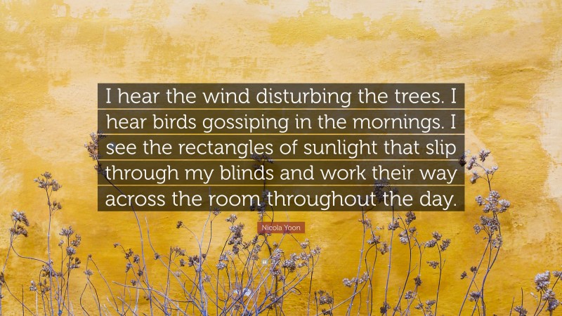 Nicola Yoon Quote: “I hear the wind disturbing the trees. I hear birds gossiping in the mornings. I see the rectangles of sunlight that slip through my blinds and work their way across the room throughout the day.”