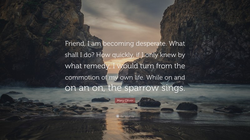 Mary Oliver Quote: “Friend, I am becoming desperate. What shall I do? How quickly, if I only knew by what remedy, I would turn from the commotion of my own life. While on and on an on, the sparrow sings.”
