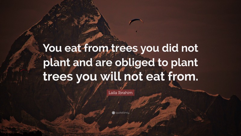 Laila Ibrahim Quote: “You eat from trees you did not plant and are obliged to plant trees you will not eat from.”