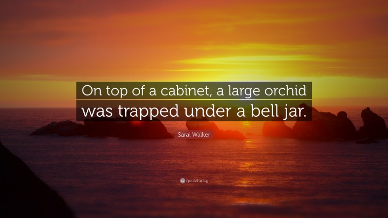 Sarai Walker Quote: “On top of a cabinet, a large orchid was trapped under a bell jar.”