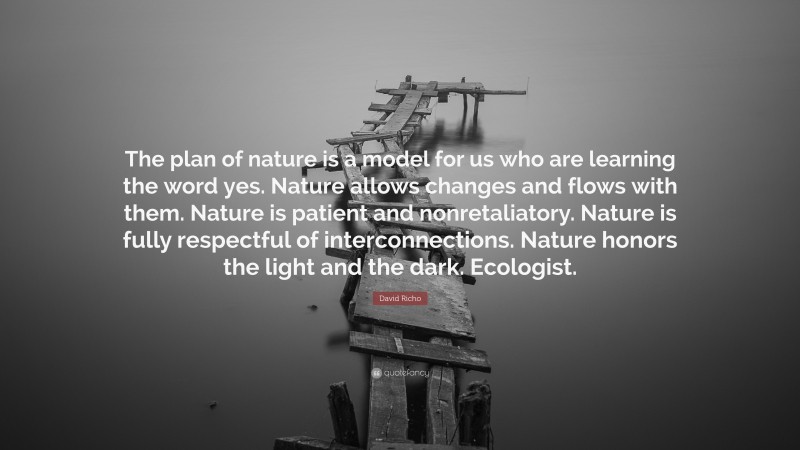 David Richo Quote: “The plan of nature is a model for us who are learning the word yes. Nature allows changes and flows with them. Nature is patient and nonretaliatory. Nature is fully respectful of interconnections. Nature honors the light and the dark. Ecologist.”