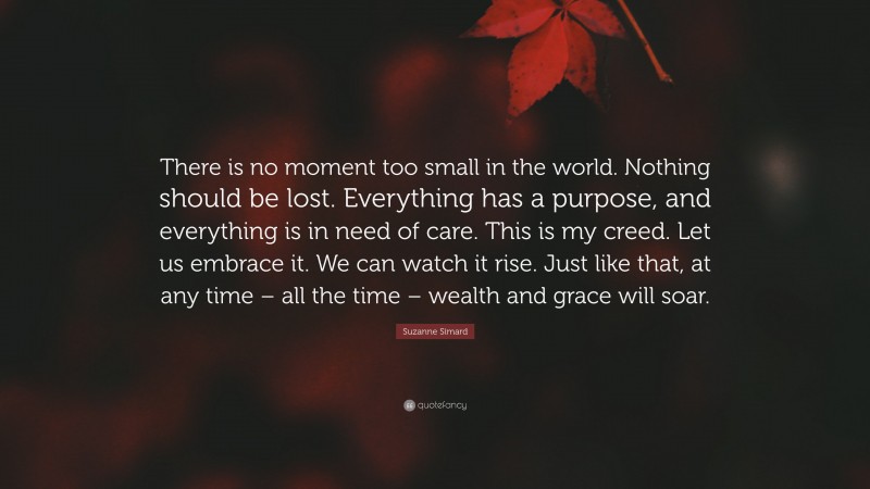 Suzanne Simard Quote: “There is no moment too small in the world. Nothing should be lost. Everything has a purpose, and everything is in need of care. This is my creed. Let us embrace it. We can watch it rise. Just like that, at any time – all the time – wealth and grace will soar.”