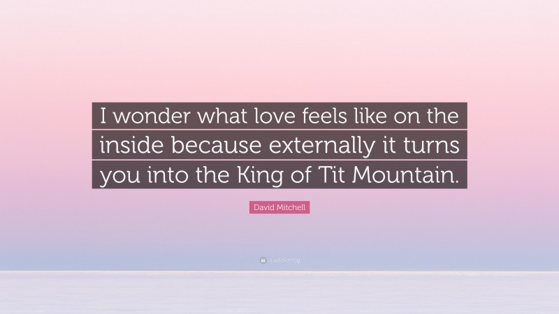 David Mitchell Quote: “I wonder what love feels like on the inside because externally it turns you into the King of Tit Mountain.”