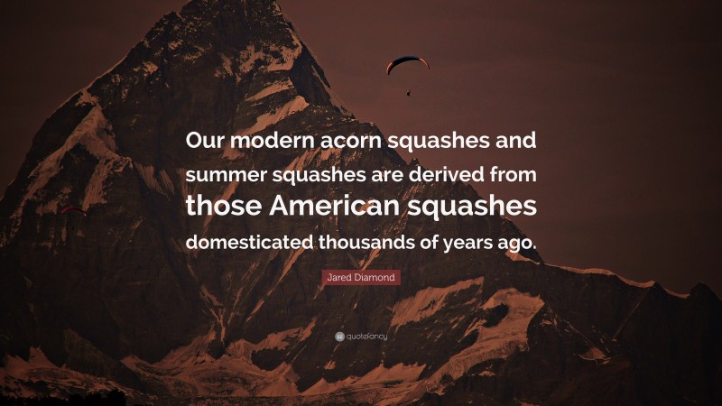 Jared Diamond Quote: “Our modern acorn squashes and summer squashes are derived from those American squashes domesticated thousands of years ago.”