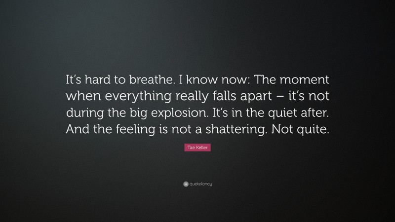 Tae Keller Quote: “It’s hard to breathe. I know now: The moment when everything really falls apart – it’s not during the big explosion. It’s in the quiet after. And the feeling is not a shattering. Not quite.”