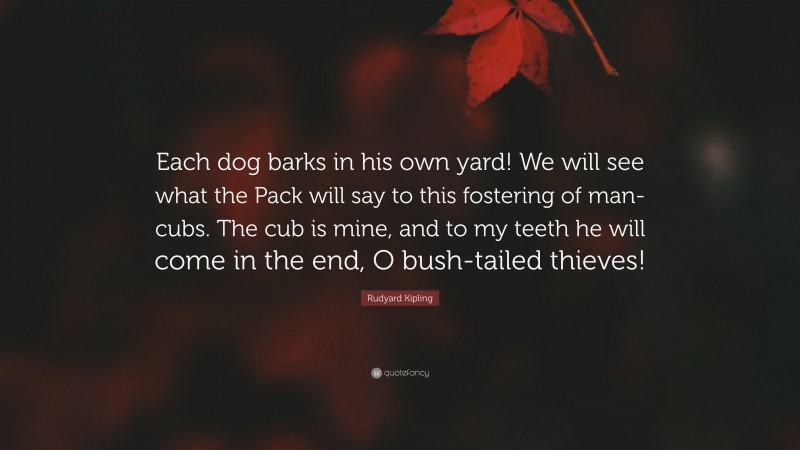 Rudyard Kipling Quote: “Each dog barks in his own yard! We will see what the Pack will say to this fostering of man-cubs. The cub is mine, and to my teeth he will come in the end, O bush-tailed thieves!”
