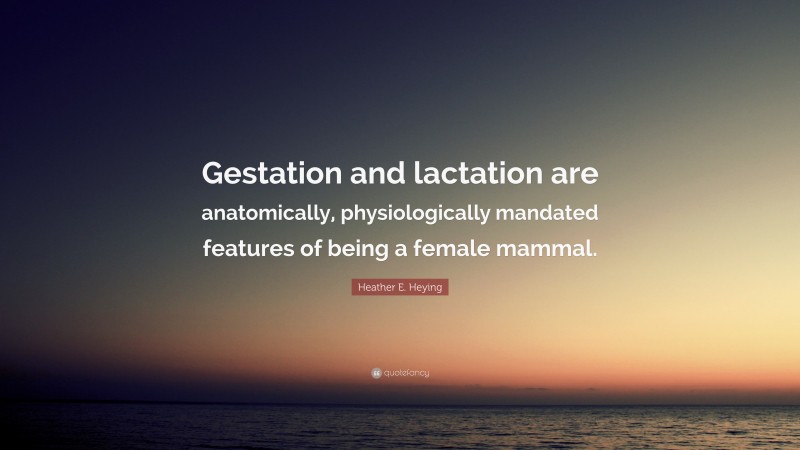 Heather E. Heying Quote: “Gestation and lactation are anatomically, physiologically mandated features of being a female mammal.”