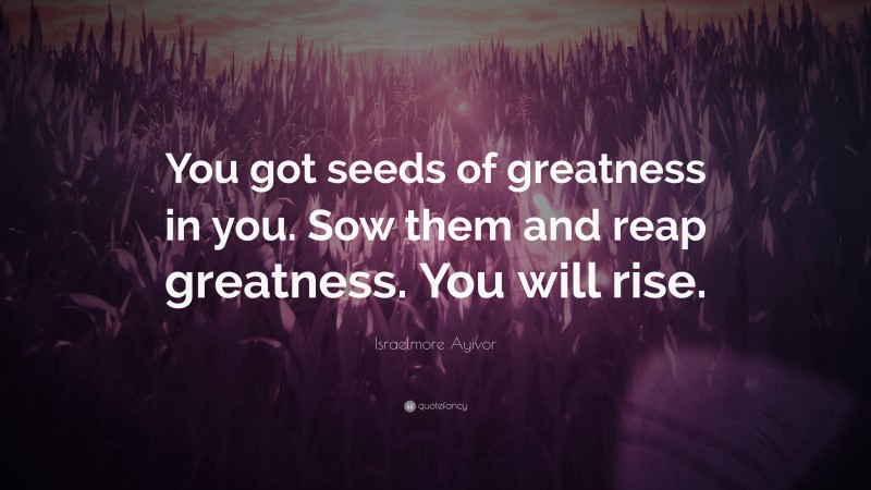 Israelmore Ayivor Quote: “You got seeds of greatness in you. Sow them and reap greatness. You will rise.”