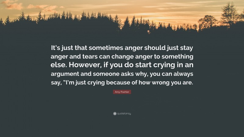 Amy Poehler Quote: “It’s just that sometimes anger should just stay anger and tears can change anger to something else. However, if you do start crying in an argument and someone asks why, you can always say, “I’m just crying because of how wrong you are.”