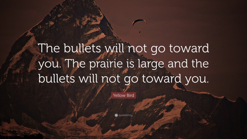 Yellow Bird Quote: “The bullets will not go toward you. The prairie is large and the bullets will not go toward you.”