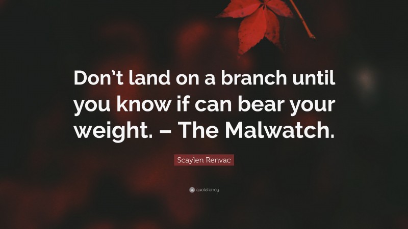 Scaylen Renvac Quote: “Don’t land on a branch until you know if can bear your weight. – The Malwatch.”