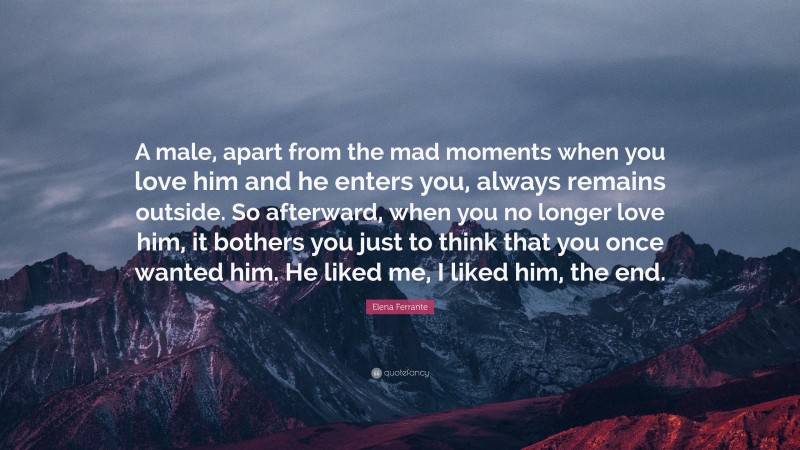 Elena Ferrante Quote: “A male, apart from the mad moments when you love him and he enters you, always remains outside. So afterward, when you no longer love him, it bothers you just to think that you once wanted him. He liked me, I liked him, the end.”