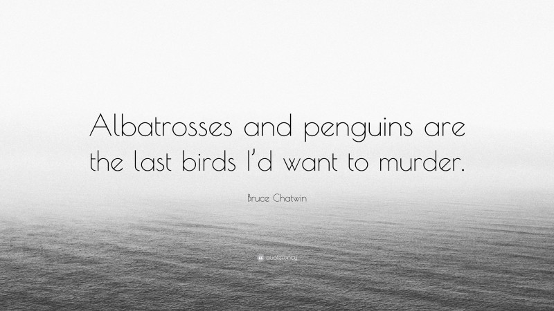 Bruce Chatwin Quote: “Albatrosses and penguins are the last birds I’d want to murder.”