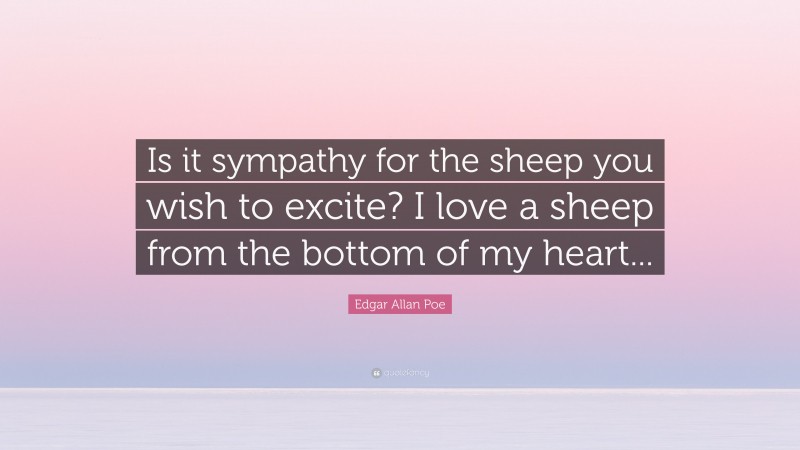 Edgar Allan Poe Quote: “Is it sympathy for the sheep you wish to excite? I love a sheep from the bottom of my heart...”