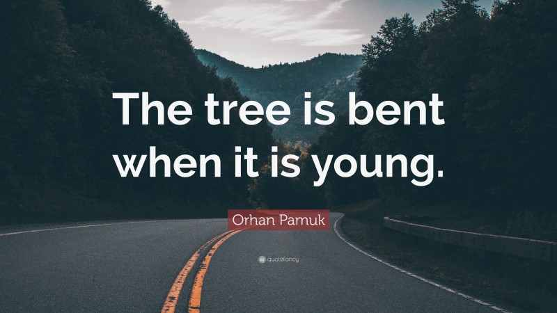 Orhan Pamuk Quote: “The tree is bent when it is young.”
