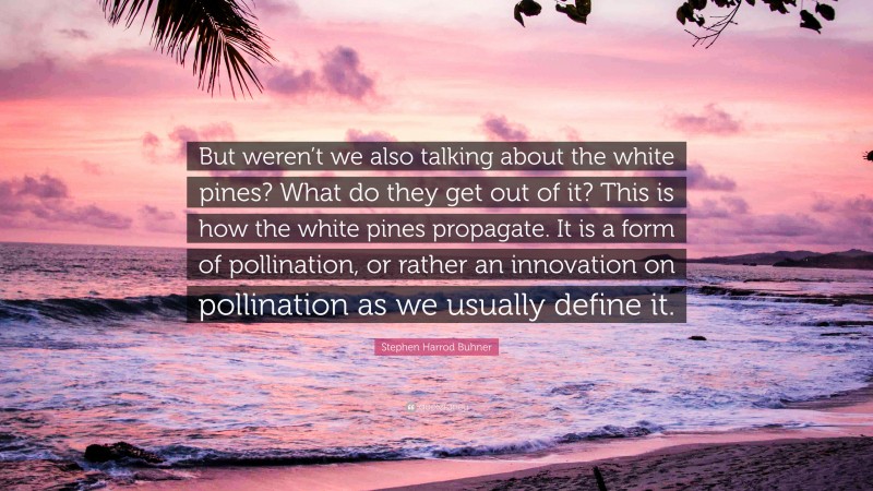 Stephen Harrod Buhner Quote: “But weren’t we also talking about the white pines? What do they get out of it? This is how the white pines propagate. It is a form of pollination, or rather an innovation on pollination as we usually define it.”