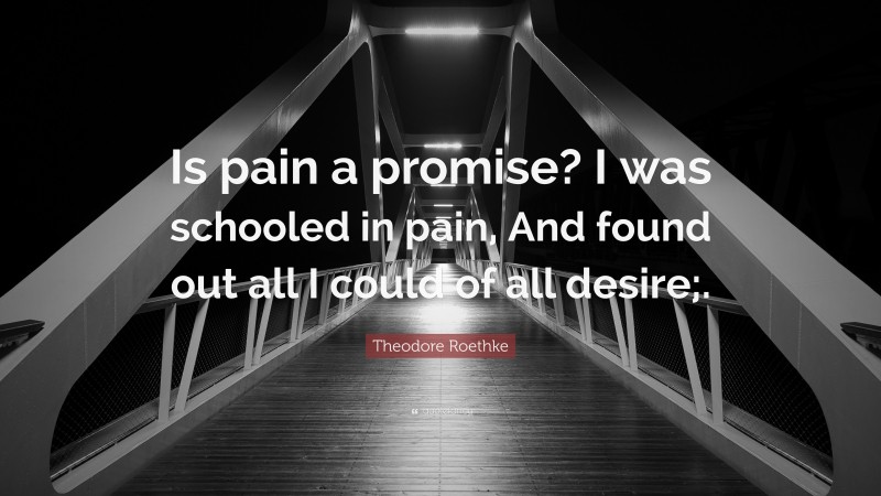 Theodore Roethke Quote: “Is pain a promise? I was schooled in pain, And found out all I could of all desire;.”