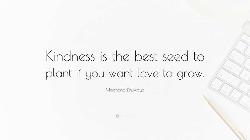 Matshona Dhliwayo Quote: “Kindness is the best seed to plant if you want love to grow.”