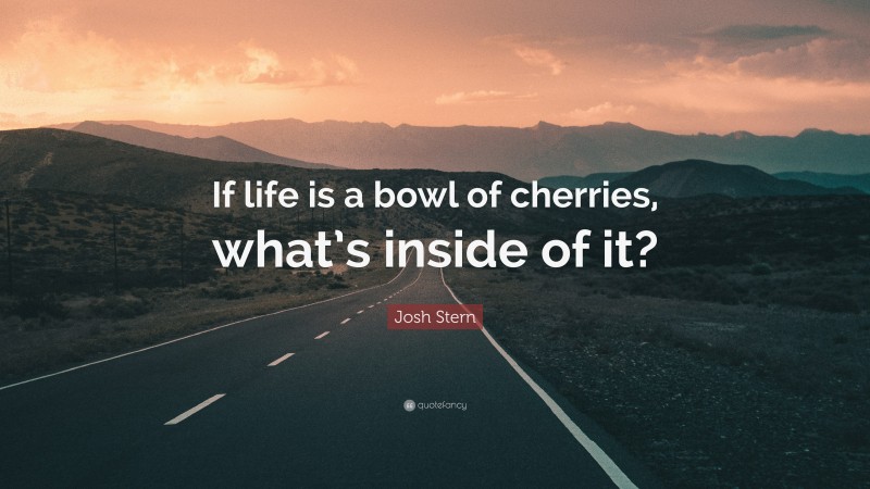 Josh Stern Quote: “If life is a bowl of cherries, what’s inside of it?”