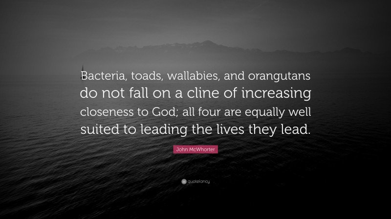 John McWhorter Quote: “Bacteria, toads, wallabies, and orangutans do not fall on a cline of increasing closeness to God; all four are equally well suited to leading the lives they lead.”
