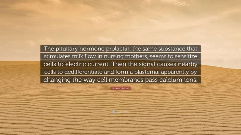 Robert O. Becker Quote: “The pituitary hormone prolactin, the same substance that stimulates milk flow in nursing mothers, seems to sensitize cells to electric current. Then the signal causes nearby cells to dedifferentiate and form a blastema, apparently by changing the way cell membranes pass calcium ions.”