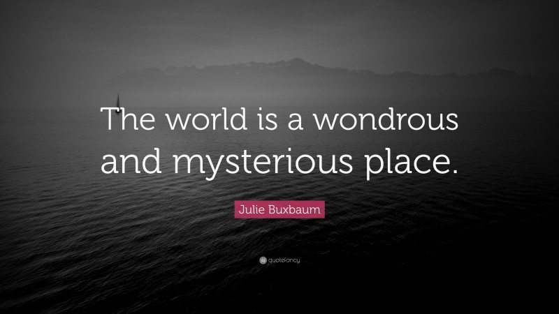 Julie Buxbaum Quote: “The world is a wondrous and mysterious place.”