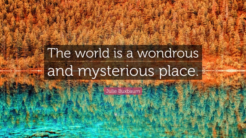 Julie Buxbaum Quote: “The world is a wondrous and mysterious place.”