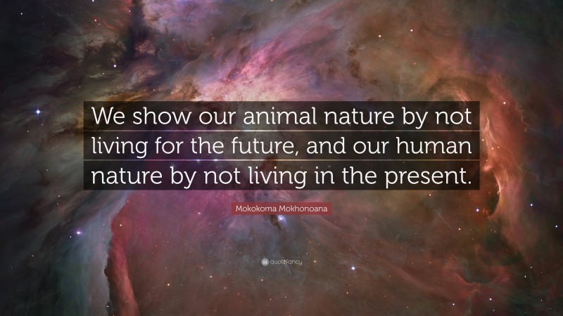 Mokokoma Mokhonoana Quote: “We show our animal nature by not living for the future, and our human nature by not living in the present.”