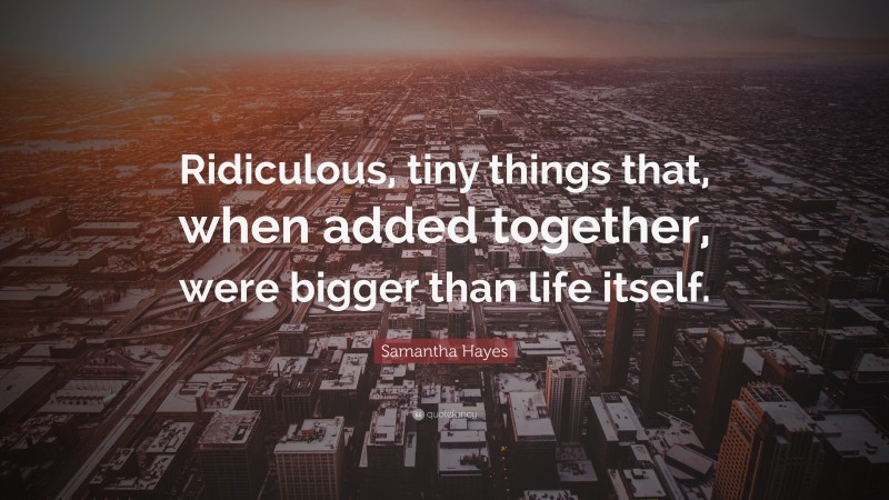 Samantha Hayes Quote: “Ridiculous, tiny things that, when added together, were bigger than life itself.”