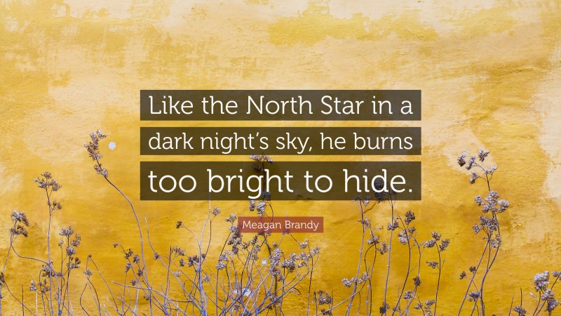 Meagan Brandy Quote: “Like the North Star in a dark night’s sky, he burns too bright to hide.”