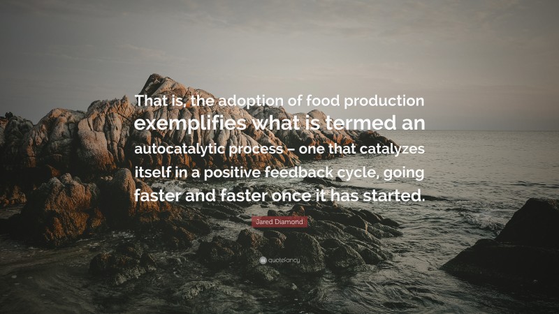 Jared Diamond Quote: “That is, the adoption of food production exemplifies what is termed an autocatalytic process – one that catalyzes itself in a positive feedback cycle, going faster and faster once it has started.”